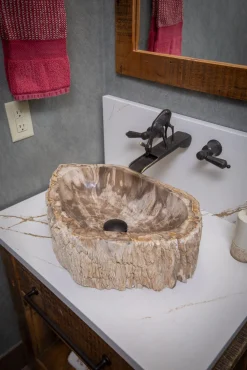 Hot Natural Stone Vessel Sink - Petrified Wood Above Counter / Vessel Sinks|Specialty Stone Sinks