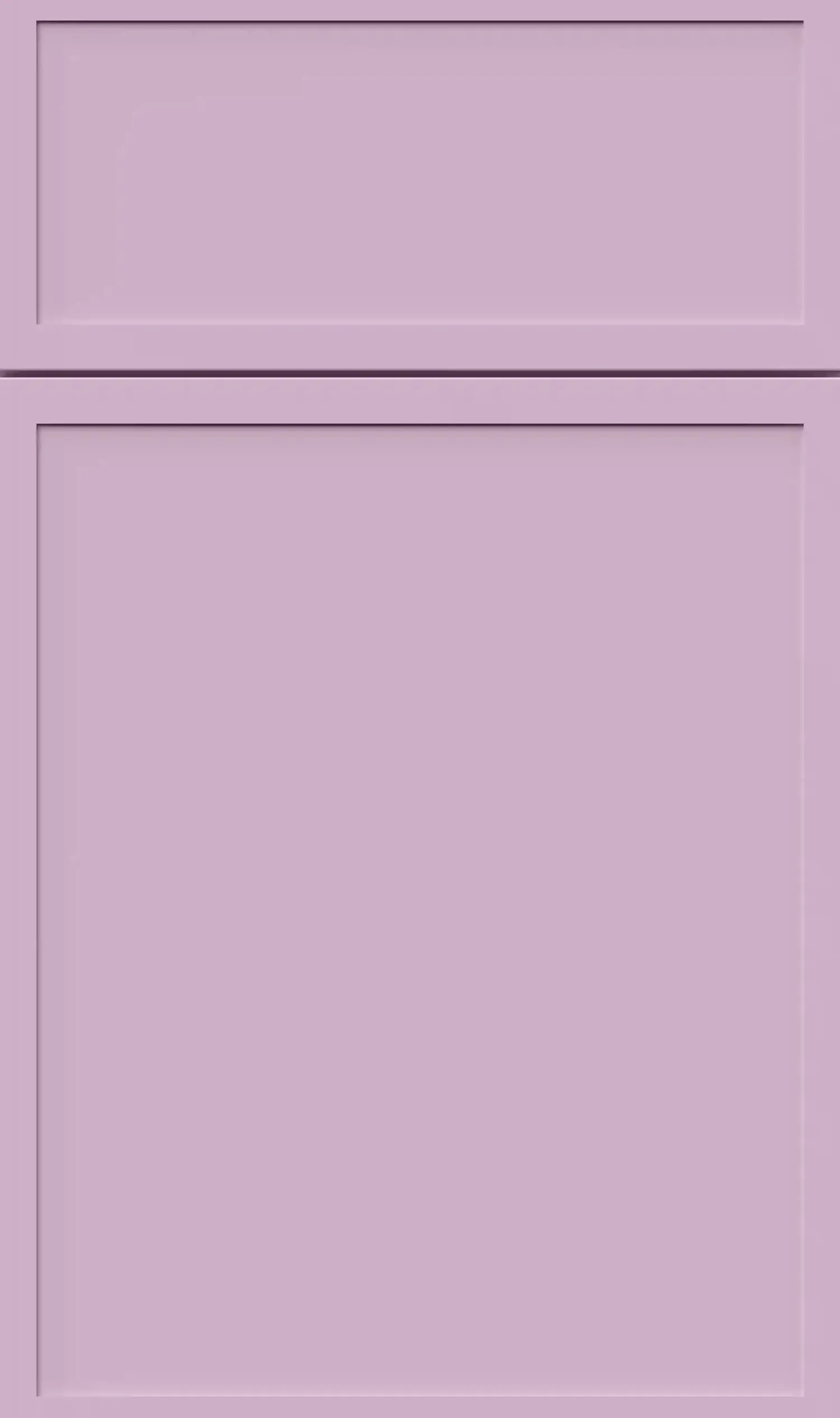 Online Large Sample Door in Orchid Purple Touch Up Paints And Sample Doors