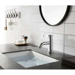 Best Fauceture Continental Single-Handle Single Hole Bathroom Faucet Single Hole