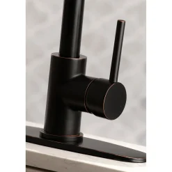 Gourmetier Concord Pre-Rinse Kitchen Faucet Single Hole