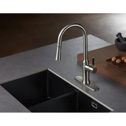 Outlet Gourmetier Kaiser Single-Handle Pull-Down Kitchen Faucet Single Hole