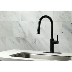 Outlet Gourmetier Kaiser Single-Handle Pull-Down Kitchen Faucet Single Hole