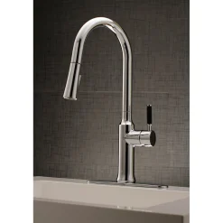 Outlet Gourmetier Kaiser Single-Handle Pull-Down Kitchen Faucet Single Hole