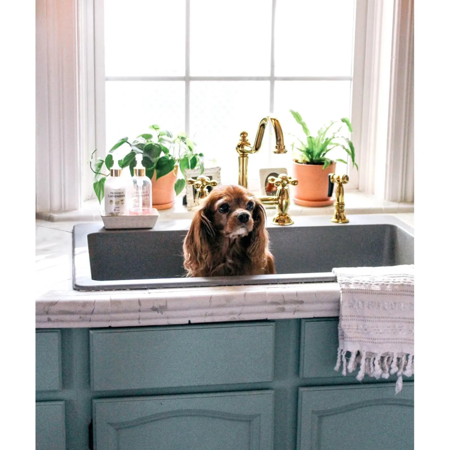 Sale Restoration Kitchen Bridge Faucet with Brass Sprayer Bridge Faucets
