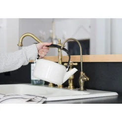 Best Restoration Reverse Osmosis System Filtration Water Air Gap Faucet Single Hole