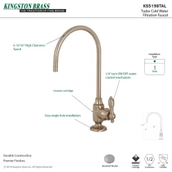 Online Tudor Single-Handle Water Filtration Faucet Single Hole