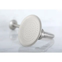 Discount Victorian Brass Showerhead with 12