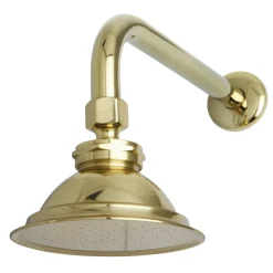 Discount Victorian Brass Showerhead with 12