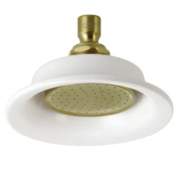 Online Victorian Ceramic Shower Head in Brushed Brass Shower Heads