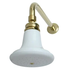Best Victorian Ceramic Showerhead with 12