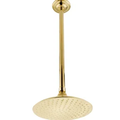 Hot Victorian 8" Shower Head with 17" Ceiling Mounted Shower Arm in Polished Brass Shower Heads
