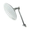Hot Victorian 8" Shower Head and 10" Arm Kit Shower Heads