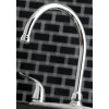 New Yosemite 8" Centerset Kitchen Faucet with Sprayer Faucets With Side Spray