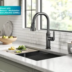 Online Allyn Black Stainless Nut & Bolt Diamond Cut Kitchen Faucet Single Hole