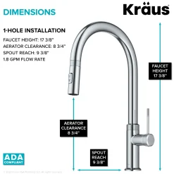 Clearance Allyn Chrome Single Handle Kitchen Faucet with Diamond Cut- ** Discontinued Single Hole