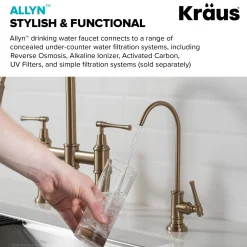 Sale Allyn Drinking Water Dispenser Kitchen Faucet in Brushed Gold Single Hole|Water Filter Faucets