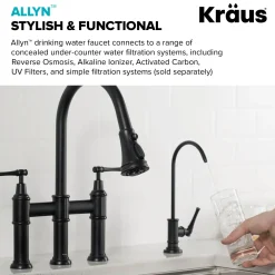 Outlet Allyn Drinking Water Dispenser Kitchen Faucet in Matte Black Single Hole|Water Filter Faucets