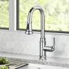 Best Allyn Industrial Pull-Down Kitchen Faucet in Chrome Single Hole