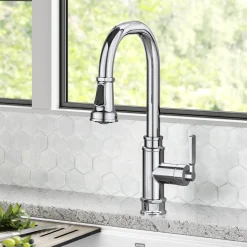 Best Allyn Industrial Pull-Down Kitchen Faucet in Chrome Single Hole