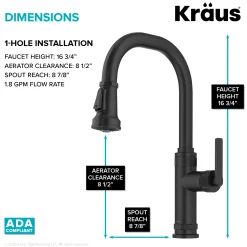 Allyn Matte Black Nut & Bolt Diamond Cut Kitchen Faucet Single Hole