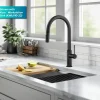Allyn Matte Black Single Handle Kitchen Faucet with Diamond Cut Single Hole