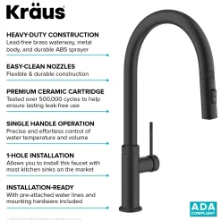 Allyn Matte Black Single Handle Kitchen Faucet with Diamond Cut Single Hole