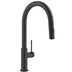 Allyn Matte Black Single Handle Kitchen Faucet with Diamond Cut Single Hole