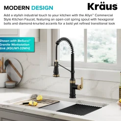 Outlet Allyn Single Handle Pull Down Kitchen Faucet in Spot-Free Brushed Brass + Matte Black Single Hole