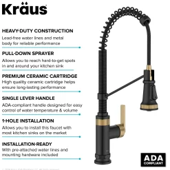 Outlet Allyn Single Handle Pull Down Kitchen Faucet in Spot-Free Brushed Brass + Matte Black Single Hole