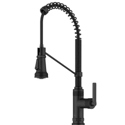 Outlet Allyn Single Handle Pull Down Kitchen Faucet in Matte Black Single Hole