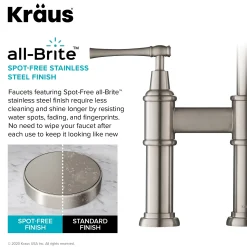 Allyn Transitional Bridge Kitchen Faucet & Water Filter Faucet in Spot Free Stainless Steel Water Filter Faucets|Bridge Faucets
