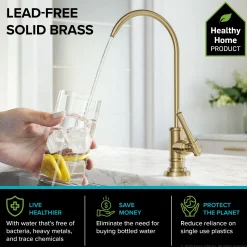 Outlet Allyn Transitional Bridge Kitchen Faucet & Water Filter Faucet in Brushed Gold Water Filter Faucets|Bridge Faucets