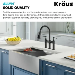Sale Allyn Transitional Bridge Kitchen Faucet & Water Filter Faucet in Matte Black Water Filter Faucets|Bridge Faucets