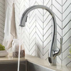 Best Ansel Dual Function Pull-Down Kitchen Faucet in Chrome - Discontinued Single Hole