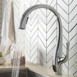 Best Ansel Dual Function Pull-Down Kitchen Faucet in Chrome - Discontinued Single Hole
