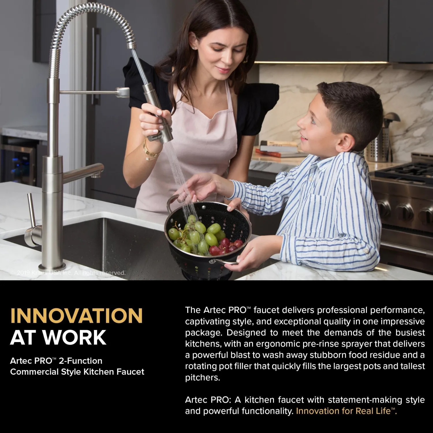 Outlet Artec Pro 2-Function Commercial Style Pre-Rinse Kitchen Faucet in Brushed Gold Single Hole