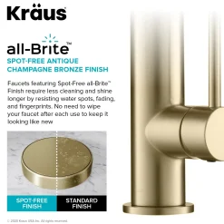 Artec Pro 2-Function Commercial Style Pre-Rinse Kitchen Faucet in Spot Free Antique Champagne Bronze with Soap Dispenser Single Hole