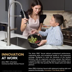 Discount Artec Pro 2-Function Commercial Style Pre-Rinse Kitchen Faucet in Spot Free Antique Champagne Bronze Single Hole
