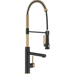 Discount Artec Pro 2-Function Single Handle Pull Down Kitchen Faucet in Brushed Brass & Matte Black Single Hole
