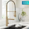 Sale Artec Pro 2-Function Single Handle Pull Down Kitchen Faucet in Brushed Brass Single Hole