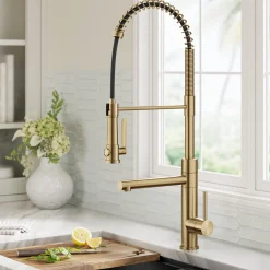 Sale Artec Pro 2-Function Single Handle Pull Down Kitchen Faucet in Brushed Brass Single Hole