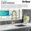 New Bolden Commercial Style Pull-Down Single Handle 18-Inch Kitchen Faucet in Brushed Brass Single Hole