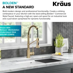 New Bolden Commercial Style Pull-Down Single Handle 18-Inch Kitchen Faucet in Brushed Brass Single Hole