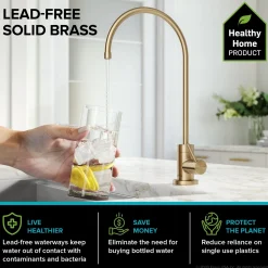 Clearance Bolden Commercial Style Pull-Down Kitchen Faucet and Purita Water Filter Faucet Combo in Spot Free Antique Champagne Bronze Single Hole|Water Filter Faucets