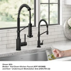 Clearance Bolden Drinking Water Filter Faucet in Matte Black Single Hole|Water Filter Faucets