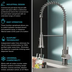 New Britt Commercial Style Kitchen Faucet with Integrated Water Filter Spout in Matte Black Water Filter Faucets