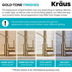 Best Coda Commercial Style Single Handle Pull Down Kitchen Faucet in Brushed Brass Single Hole