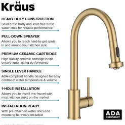 2-Function Single Handle Pull Down Kitchen Faucet in Spot-Free Brushed Brass Single Hole
