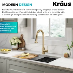 2-Function Single Handle Pull Down Kitchen Faucet in Spot-Free Brushed Brass Single Hole