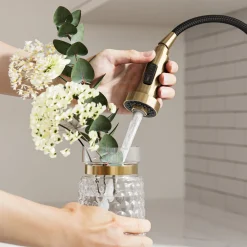 2-Function Single Handle Pull Down Kitchen Faucet in Spot-Free Brushed Brass Single Hole